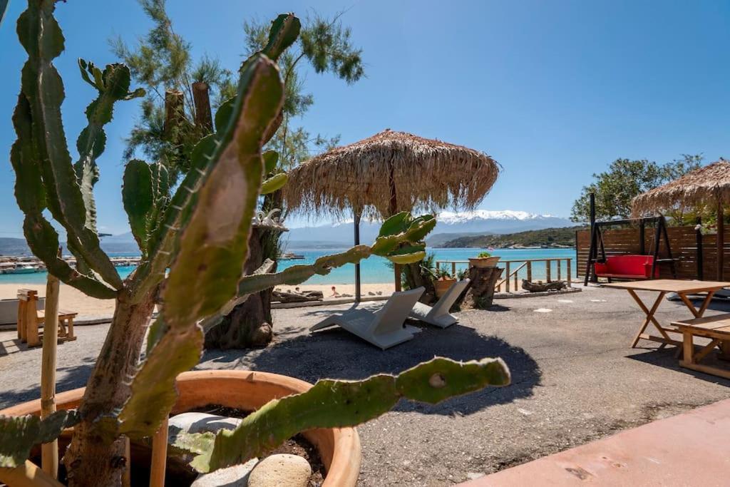 Sea And Sun Metaxy Mas, Brand-New, Beachfront ! خانيا المظهر الخارجي الصورة